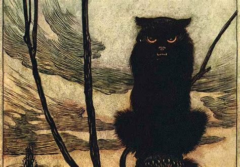 Unlocking the Mysteries: The Legends of Black Cats and Voodoo Dolls